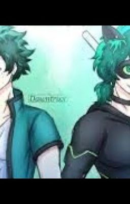 Izuku the black cat hero cover