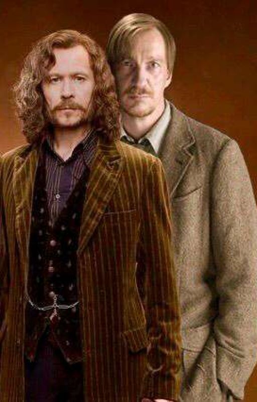 It's Not What It Looks Like- Sirius x Harry x Lupin fanfic by MischiefManaged-3000