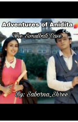 Adventures of Anidita: The Simulbati Case cover