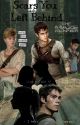 Thomas x reader Maze Runner II Scars You Left Behind by catmeow221