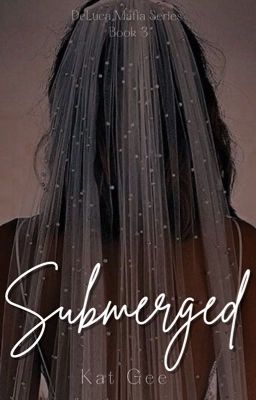 Submerged cover