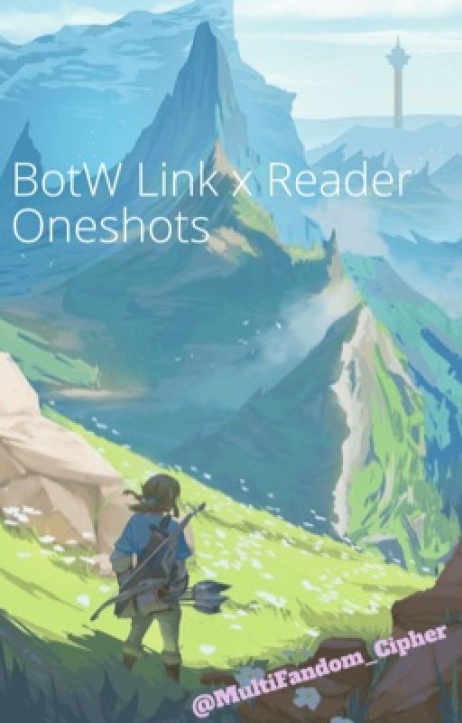 BotW Link X Reader Oneshots by MultiFandom_Cipher