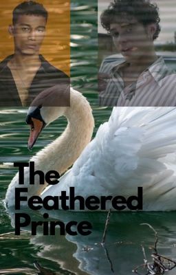 The Feathered Prince cover