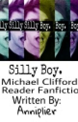 Silly Boy. cover