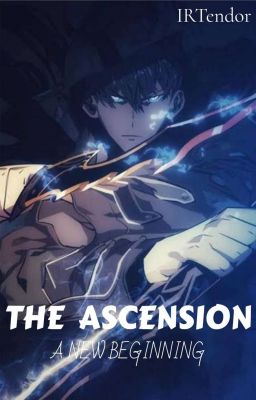 The Ascension : A New Beginning (Solo Leveling x Tower of God) [ON A HIATUS]  cover