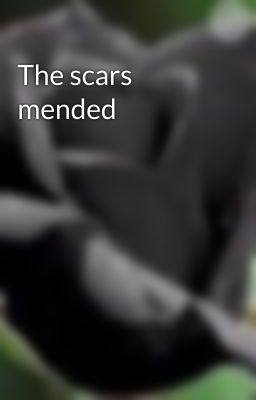 The scars mended cover