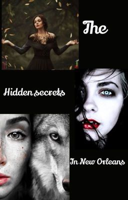 The Hidden secrets in New Orleans. Book1 cover