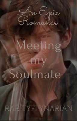 Meeting My Soulmate cover