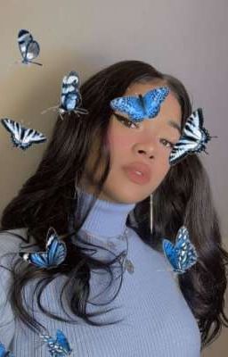 🦋𝚒𝚖𝚊𝚐𝚒𝚗𝚎𝚜 𝚋𝚛🦋 cover