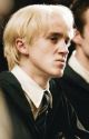 took you long enough reader x draco malfoy by dayumstories