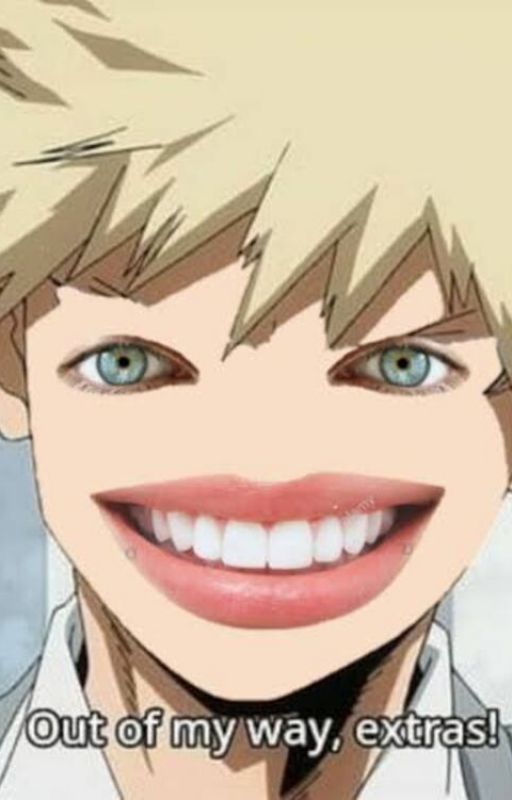 the stupidest mha story ever (bakugo x fem y/n) by avabutton