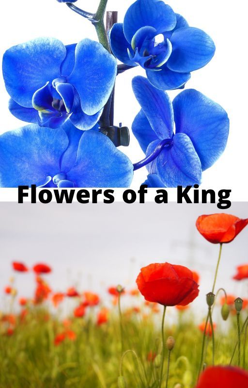 Flowers of a King by Tj8thewatpad