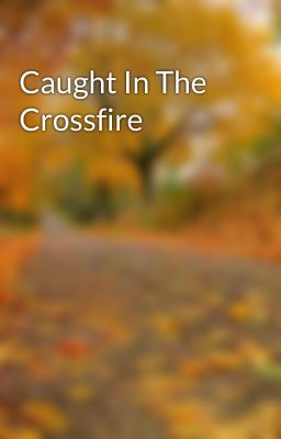 Caught In The Crossfire cover