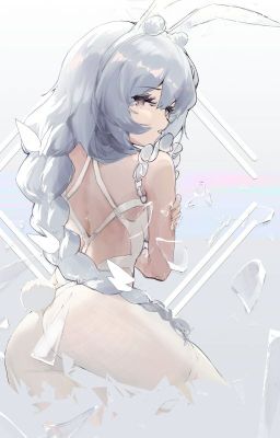 Danmachi  18 cover