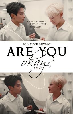 Are You Okay? | SoonSeok ✓ cover