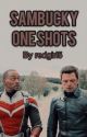 Sambucky One Shots by redgirlfive