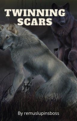 Twinning Scars - Remus Lupin x Reader [Book 1] cover