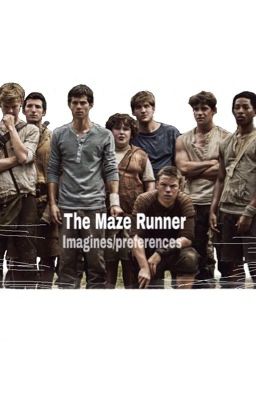 The Maze Runner imagines/preferences (discontinued)  cover