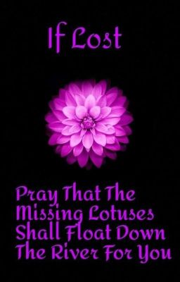 If Lost, Pray That The Missing Lotuses Shall Float Down The River For You cover