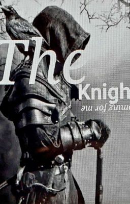 The Knight cover