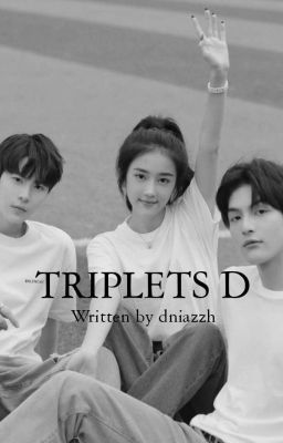 TRIPLETS D [END] cover