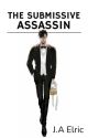 The Submissive Assassin (BxB) by bemuah