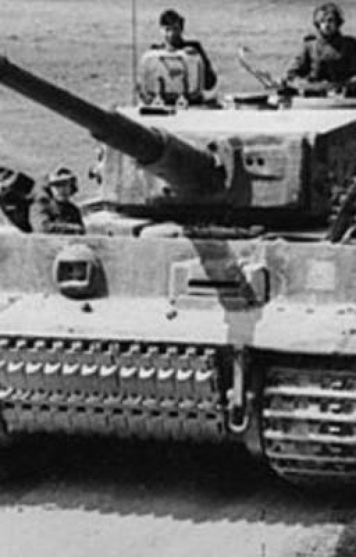 Facts about the Tiger tank/ Panzer 6. And Me 262/Stuka  by Cashius6