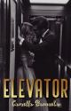 The Elevator by CamillaBarceilla