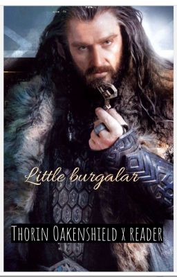 Little burgalar (Thorin Oakenshield x reader) cover