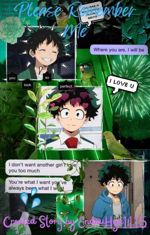 Please Remember Me (Midoriya Izuku x Real Life! Quirkful! Hya Evans) by EndouHya1115