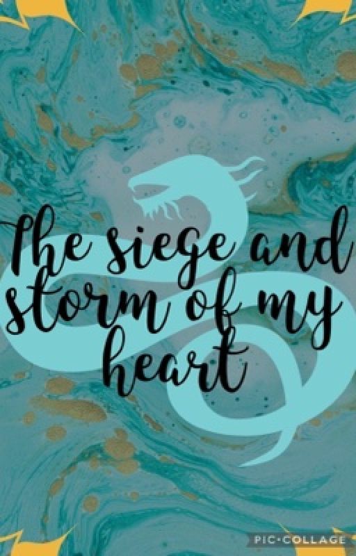 Siege and storm to my Heart￼ by OMGhow