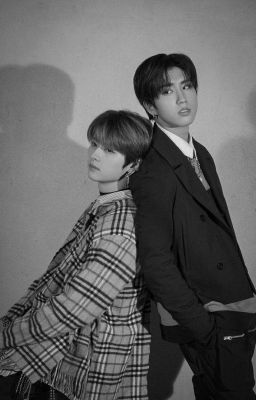 Oh dear diary|Minsung cover