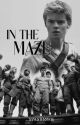 In The Maze ➸Newt x Reader by sangsterswag