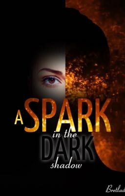 A Spark in the Dark Shadow cover