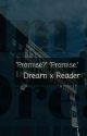 Dream x Reader "Promise?" "Promise." by maxtheswaggy