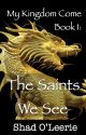 My Kingdom Come Book 1: The Saints We See (Complete) by ShadOLeerie