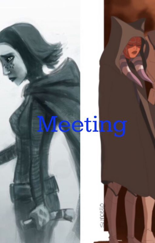 Meeting: An Ahsoka and Barriss One Shot by Kyeh369