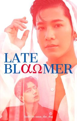 Late Bloomer cover