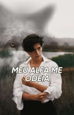 Meu Alfa me Odeia - Livro 1, 2 e 3 cover