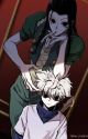 Hunters Or Heroes? // (HxH X Bnha) by west-side-slytherins