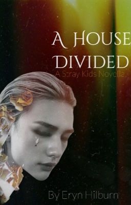 A House Divided  cover