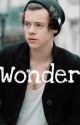 Wonder || H.S by Stacy_0014