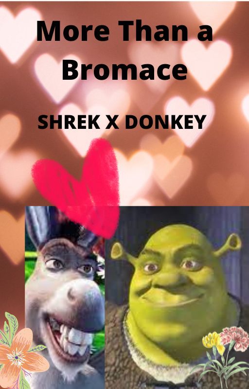 More Than a Bromance - A Shrek x Donkey Fanfic by imonschoolcomputer