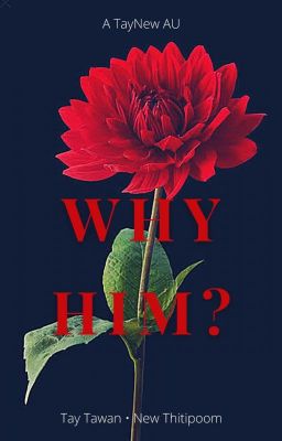 WHY HIM? (Completed ✅) cover