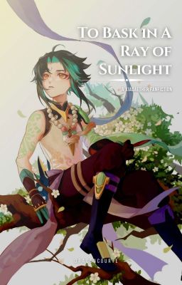 To Bask in a Ray of Sunlight: a XiaoAether fanfiction cover