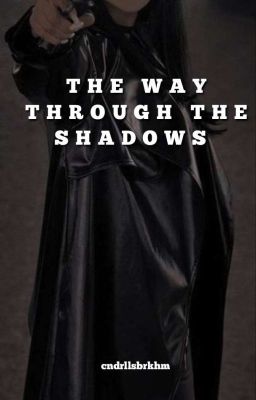 The Way Through The Shadows cover