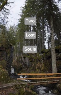 Two Lost Souls • Paul Lahote cover