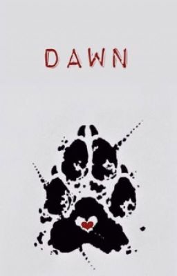 Dawn cover