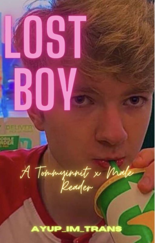 Lost Boy - Tommyinnit x Male Reader by sweetlittledinosaurs