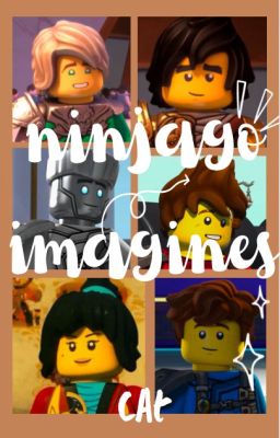 ninjago imagines cover